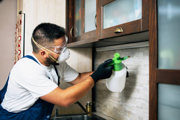 Mount Jackson, VA Pest Control Company