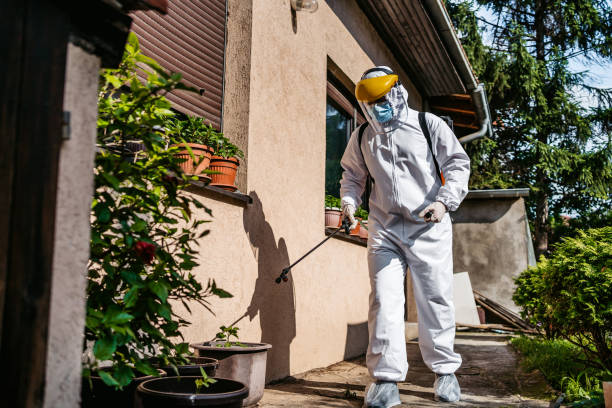 Best Mosquito Control Services  in Mount Jackson, VA