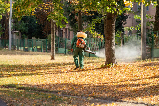 Best Cockroach Control Services  in Mount Jackson, VA